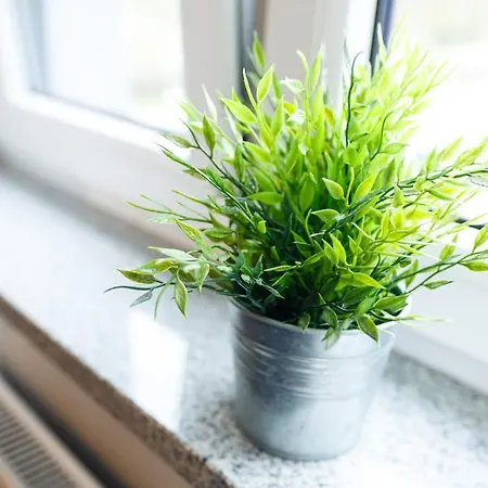 Nautica Palace * Szczecin