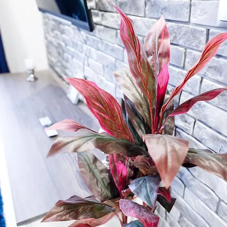 公寓 Nautica Palace *