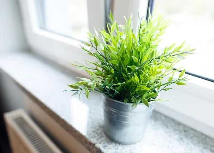 Nautica Palace * Stettin