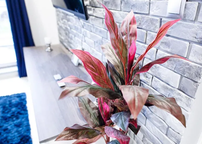 Lejlighed Nautica Palace *